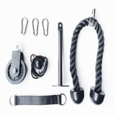 Sistema de poleas TAP SPORT Elite en venta