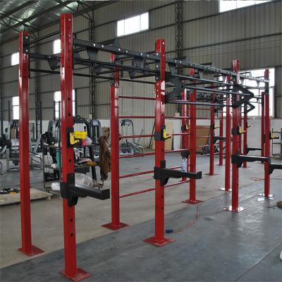Escalera para sentadillas con estructura de la serie C para gimnasio