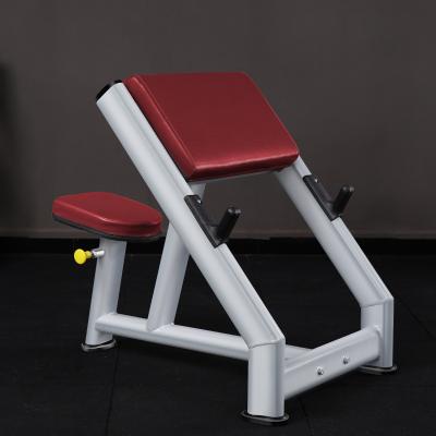 Equipo de gimnasio: Banco Scott, curl predicador sentado, equipo de gimnasio, silla párroco, silla sacerdote, entrenamiento